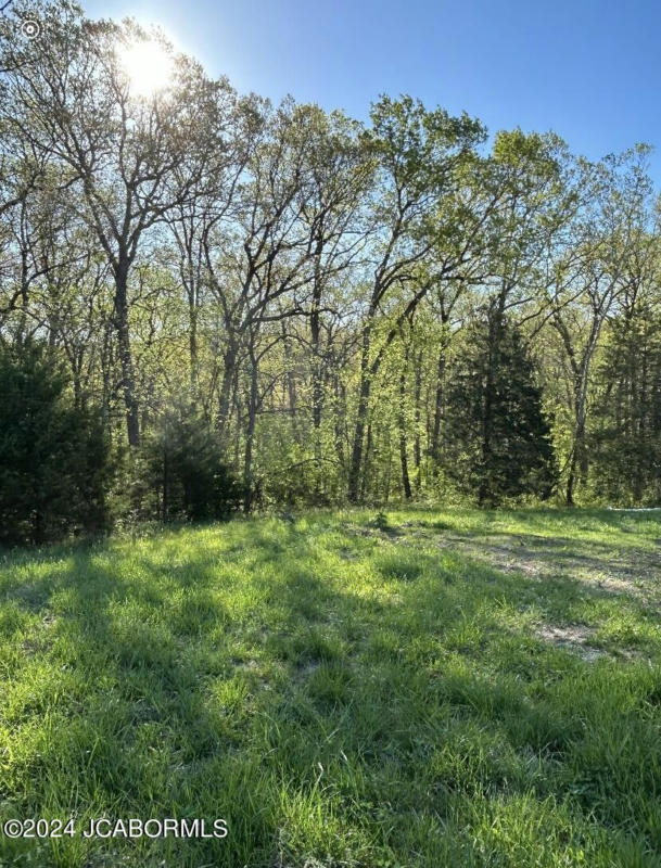 LOT 1 BIRDIE HILL ROAD, HOLTS SUMMIT, MO 65043, photo 1